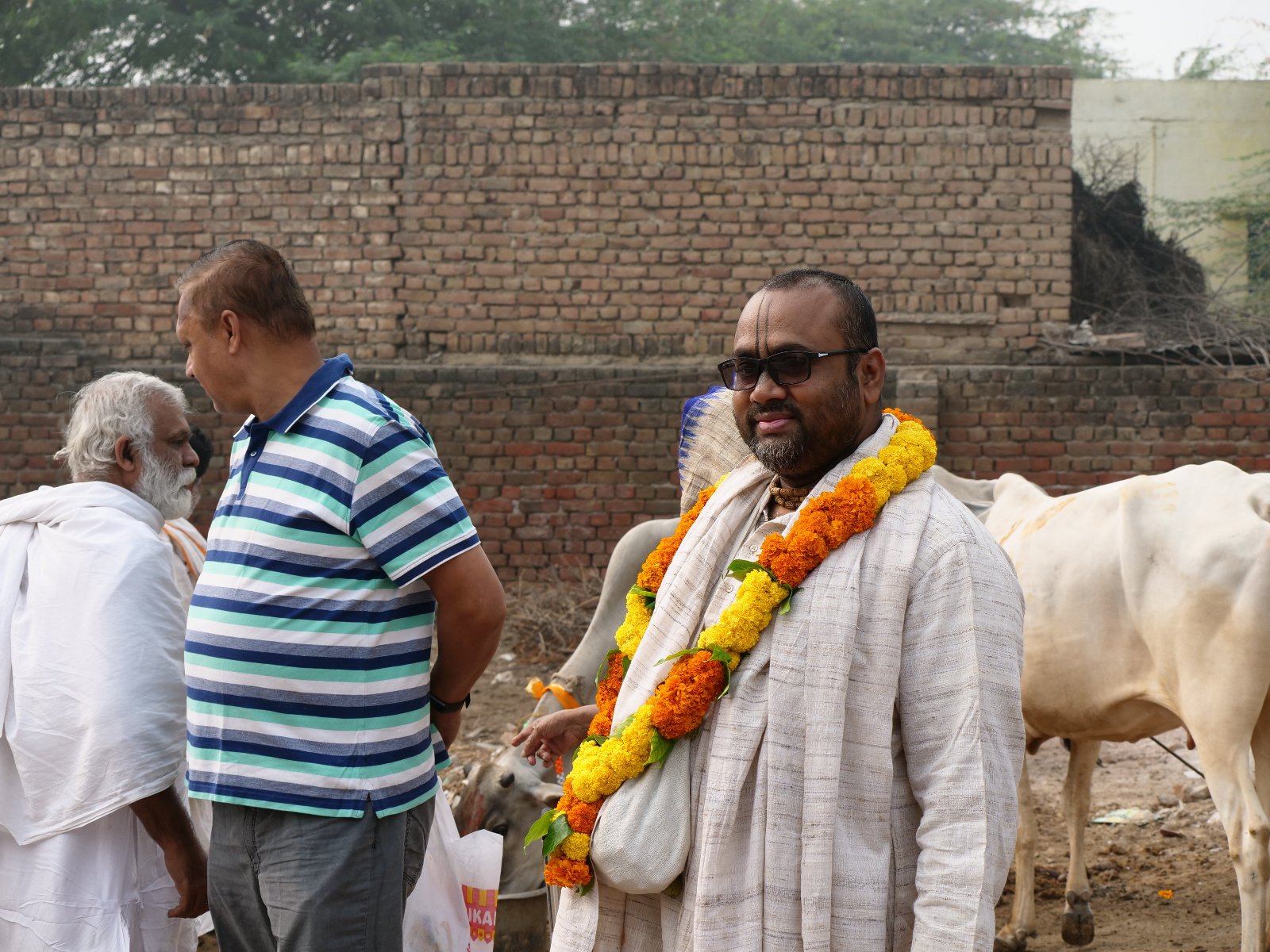  116 Gopashtami Radha kunda Govardhan 19.11.04